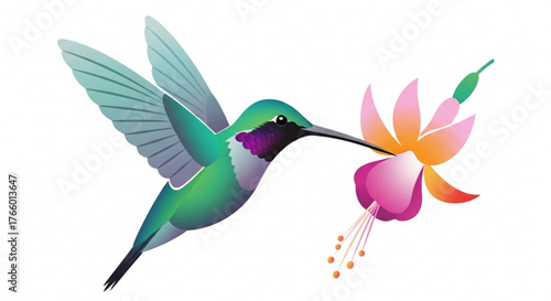Hummingbird feeding on nectar from a vibrant fuchsia flower in a colorful illustration