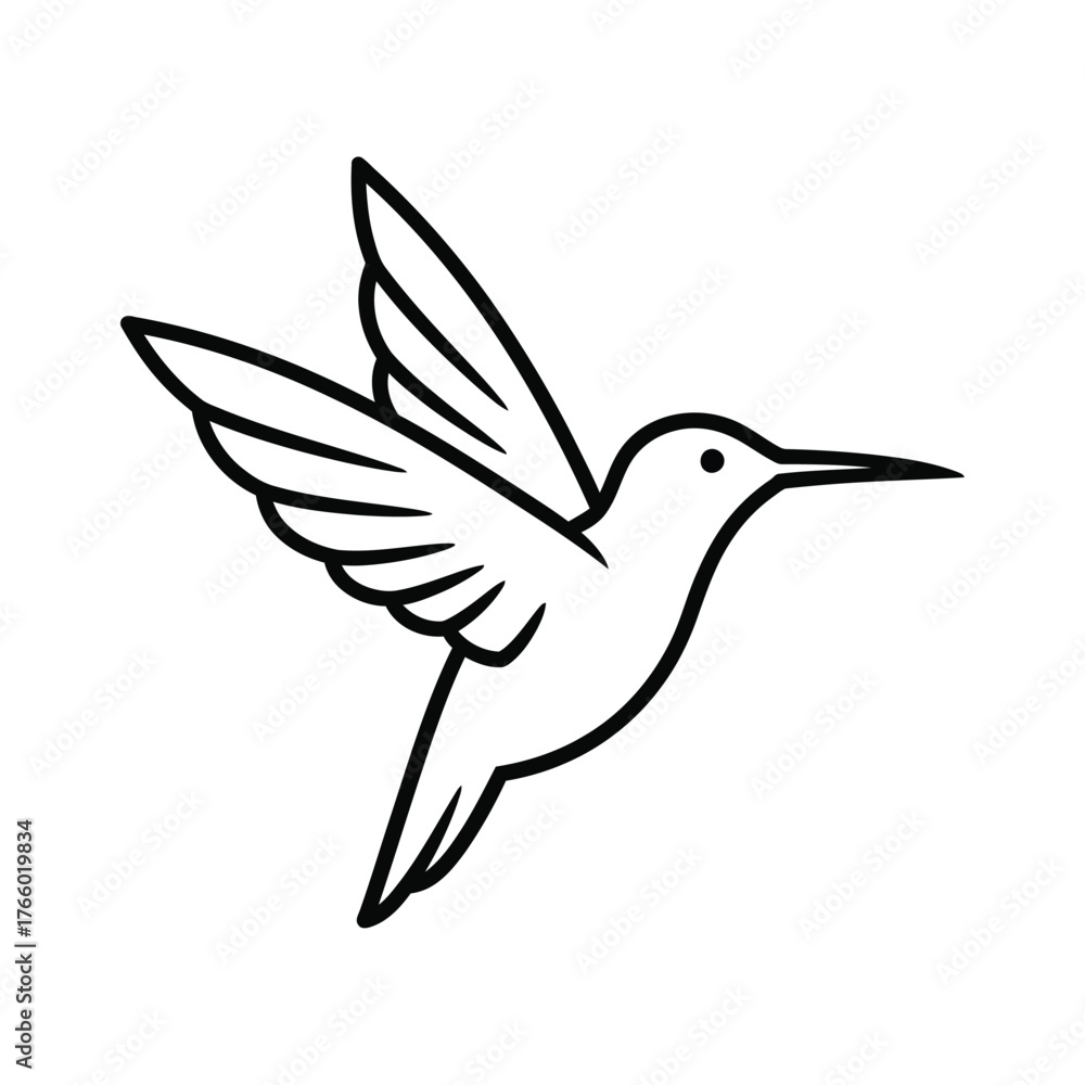 Fototapeta premium Simple outline drawing of a hummingbird in flight with wings outspread