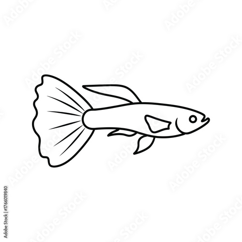 Simple outline drawing of a tropical guppy fish isolated on white