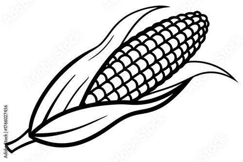 Black and white silhouette of a corn cob with leaves isolated on white background