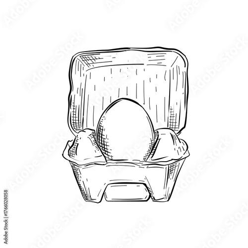 Egg in carton vector line art hand drawn illustration 
