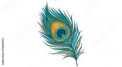 Elegant peacock feather illustration with blue and gold on a clean white backdrop