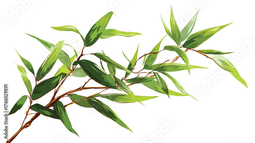 Vibrant Bamboo Evergreen Plant Close-Up Foliage Photography