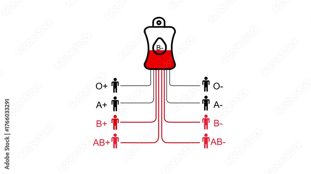 Blood type compatibility chart with B negative blood bag and compatible ...