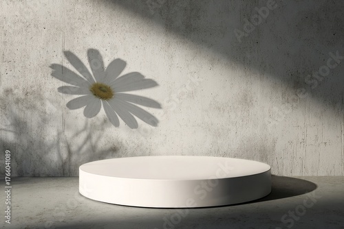 Shadow of a Flower on a White Circular Platform in a Minimalist Room