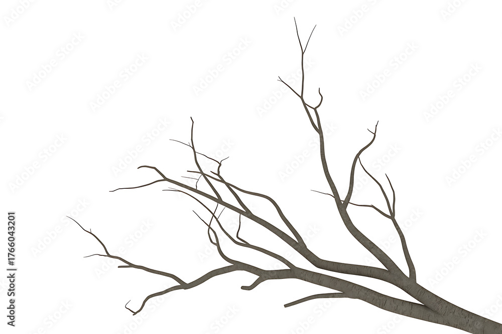 Fototapeta premium Bare tree branch extends diagonally, stark against a white background, suggesting winter's quiet stillness.