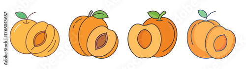 Illustration of fresh ripe apricots cut in half showing the seed and green leaves isolated art