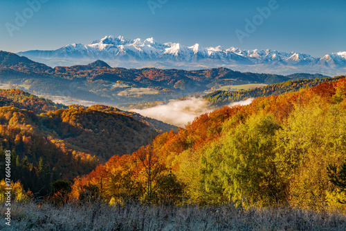 Fototapeta Naklejka Na Ścianę i Meble -  Tatry