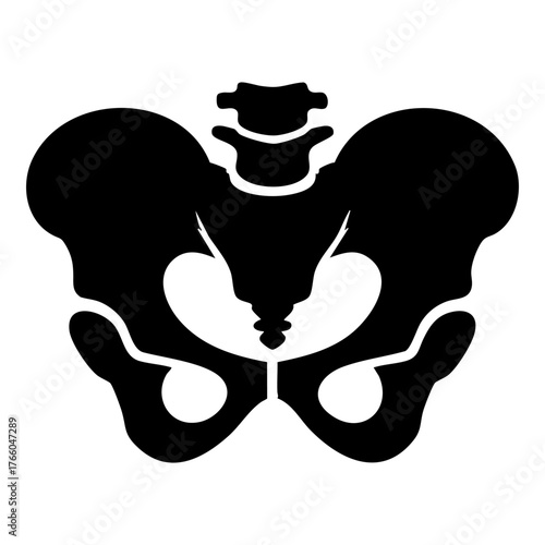 human pelvis (pelvic bone)