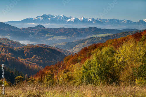Fototapeta Naklejka Na Ścianę i Meble -  Tatry