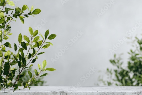 Fresh Green Leaves Growing Near a Stone Surface in a Calm Outdoor Setting