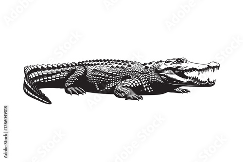 Detailed illustration of an alligator with open jaws