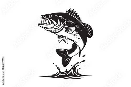 Aggressive largemouth bass leaping from water