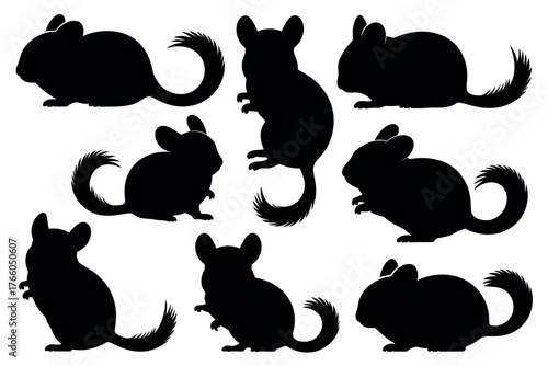 A collection of nine chinchilla silhouettes in various poses against a white background