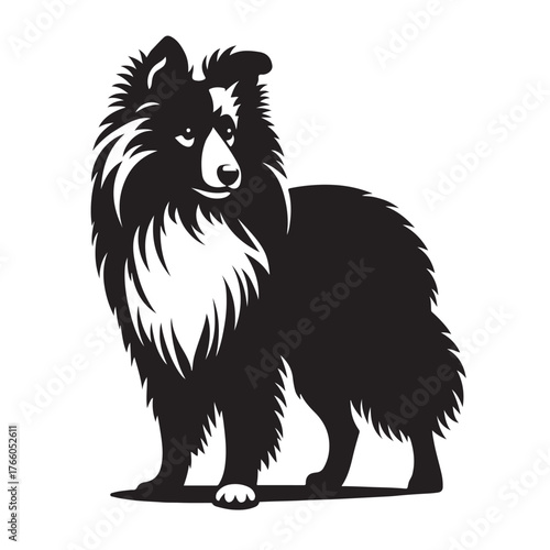 Black and white silhouette of a fluffy shetland sheepdog