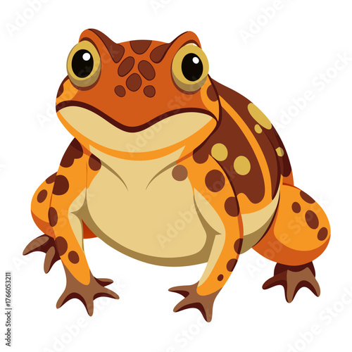 Orange frog illustration amphibian vector drawing cartoon toad animal wildlife nature design art