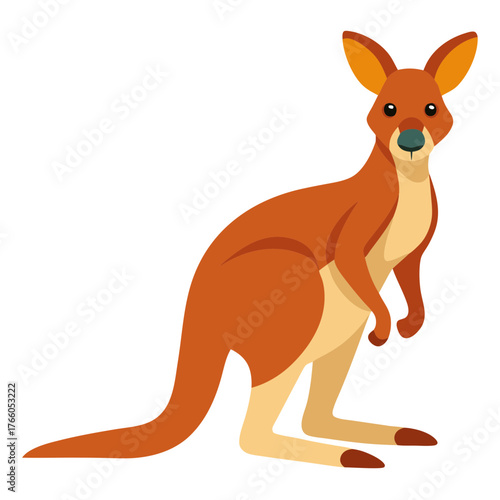 Illustration of a cute kangaroo standing, australian wildlife animal vector drawing for kids and design