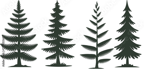 graphic, evergreen silhouette, pattern, landscape illustration, evergreen tree silhouette, coniferous tree graphic, forest tree design, botanical tree art, pine forest vector, nature tree silhouette