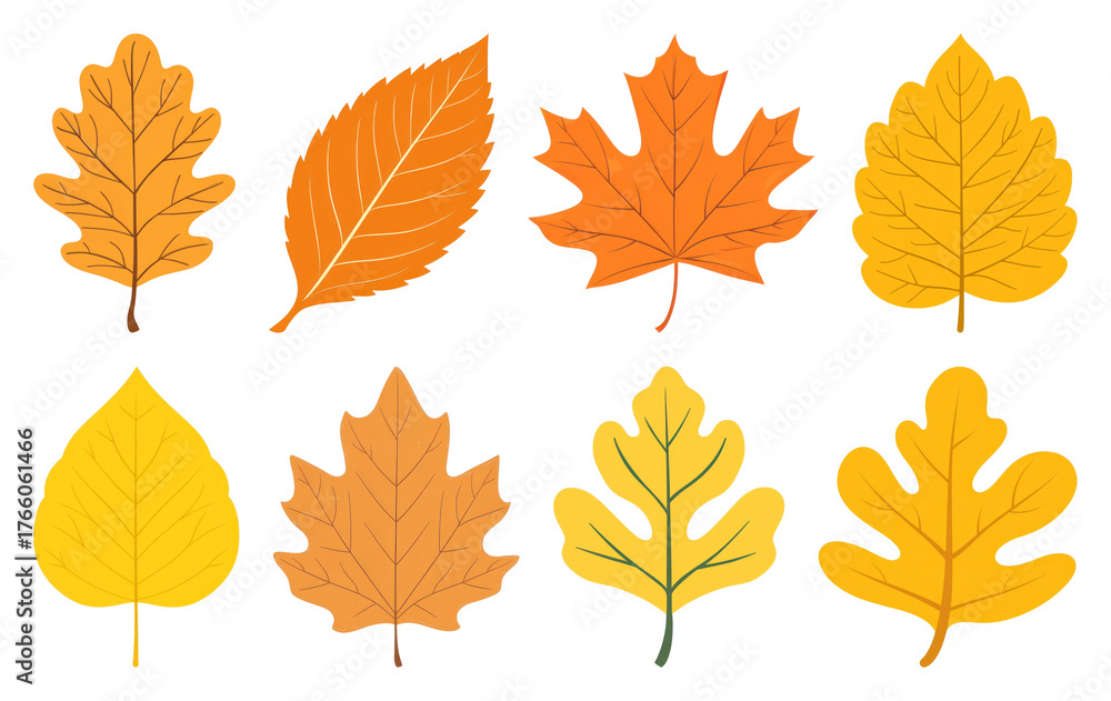 Fototapeta premium PNG Colorful autumn leaves illustration, element set on transparent background