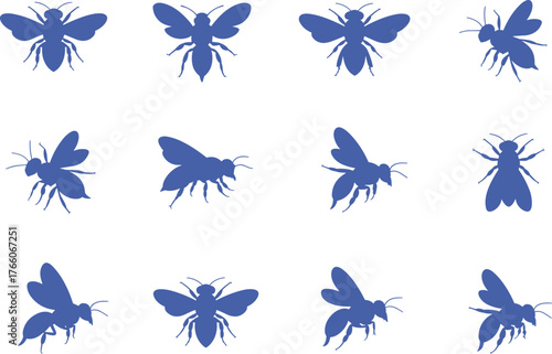 Insect silhouette collection, fly and bee icons, entomology vector set, winged insect shapes, graphic bugs, flat vector illustration