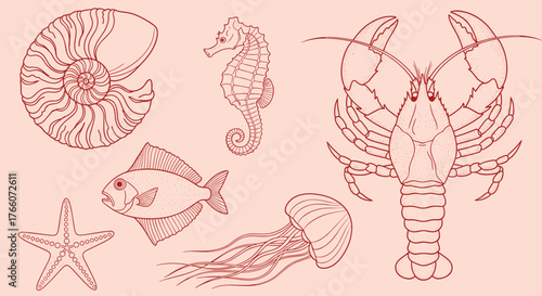 Marine life clip art featuring a shell, seahorse, fish, starfish, jellyfish, and lobster in a whimsical line art style.