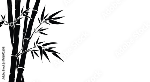 Black and white illustration featuring bamboo stalks and leaves, creating a nature-inspired, minimalistic design.
