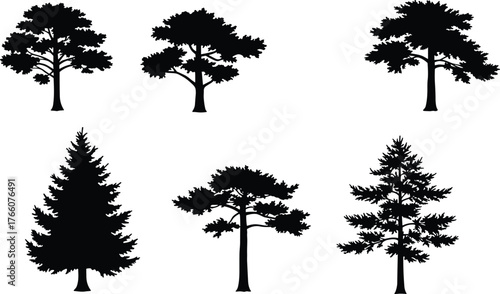 Tree silhouette collection, broadleaf and conifer, forest clipart, botanical vector set, nature design elements, black trees, minimal landscape shapes
