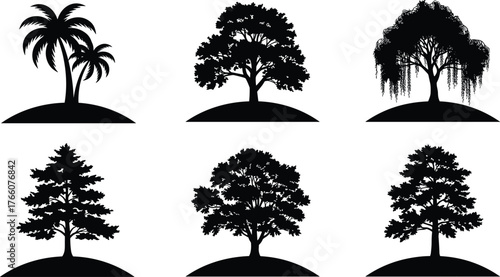 Tree silhouette collection, palm, willow, conifer, deciduous, nature illustration, black trees, landscape elements, botanical clipart, forest design, isolated