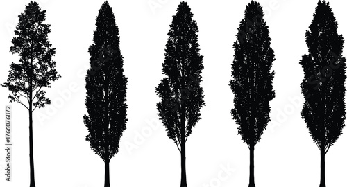 Tree silhouette collection, poplar tree variations, botanical illustration, landscape design, deciduous trees, foliage density, nature art, environmental concept, rural scene