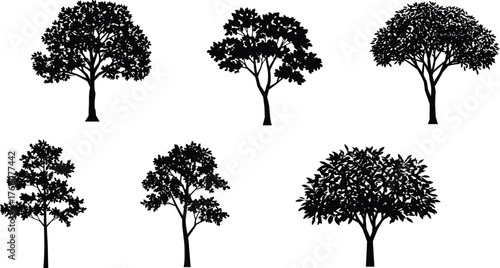 Tree silhouette illustration, diverse tree shapes, black vector trees, botanical design, forest elements, nature clipart, landscape art, isolated icons