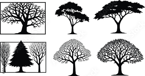 Tree silhouette illustration, winter tree, leafless branches, forest design, nature vector, seasonal landscape, black trees, botanical art, isolated elements