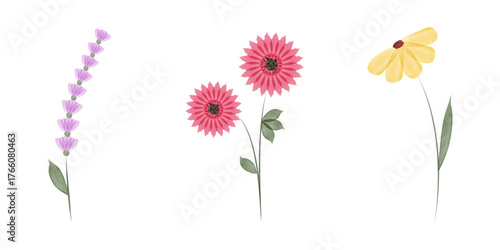 Three simple watercolor illustrations appear on a white background. From left to right are a lavender sprig, two pink flowers, and a yellow daisy. Each has a thin green stem and leaves.