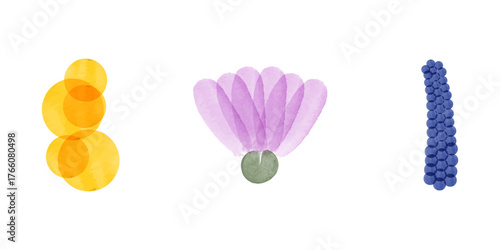 Three watercolor illustrations of flowers are arranged on a white background. These floral elements, perfect for environmental conservation infographics, include flowers and circles.