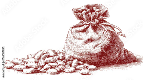 Vibrant Illustration of Beans and Bag with Vector Graphics