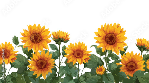 yellow flowers isolated on white