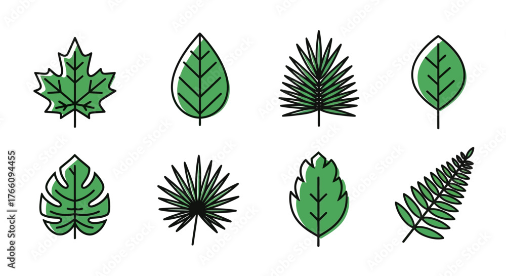 Fototapeta premium set of green leaves