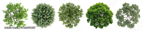 PNG Lush aerial tree canopy views, element set on transparent background
