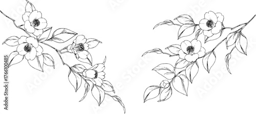 ペンで描いた椿の枝のイラスト
