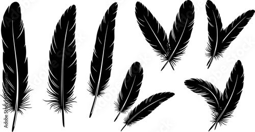 Elegant black feather silhouettes arranged on a white background for artistic design elements
