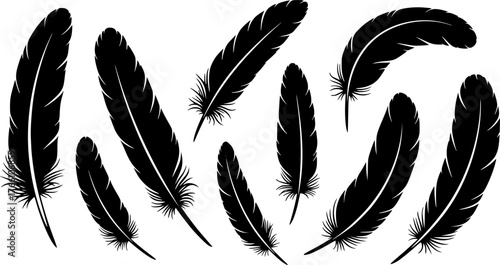 Elegant black feather silhouettes arranged on a white background for artistic design elements
