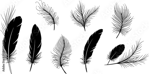 Elegant black feather silhouettes arranged on a white background for artistic design elements
