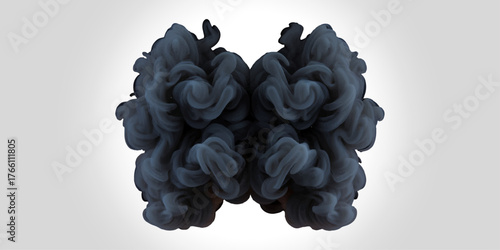 black and white cloud. abstract. Black and white abstract human brain model on white background, closeup of 3d object with head detail.