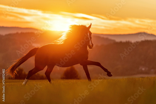 Silhouette of a galloping horse at sunset in a meadow with golden sunlight and mountains in the background