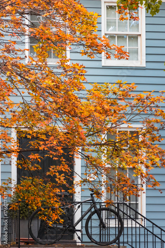 autumn in the city, Washington DC, Georgetown 