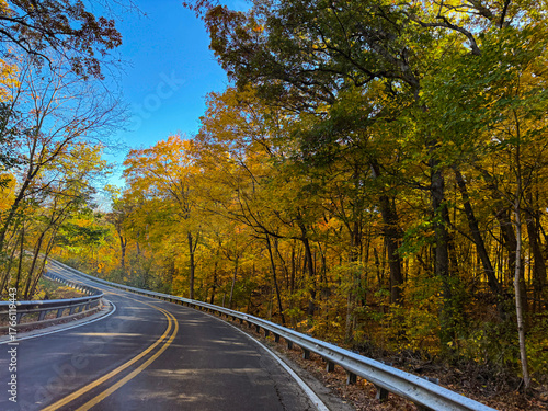 Curving Forest Road Surrounded by Golden Autumn Trees