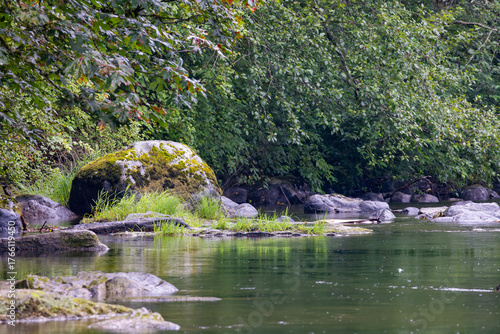 Mossy Boulders Along Green River Washington