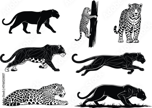 WebLeopard and panther illustrations in dynamic poses – silhouette, stalking, running, climbing, lying, cub, upright, spotted styles
