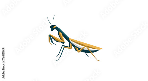 A detailed illustration of a praying mantis with its characteristic raptorial forelegs extended.