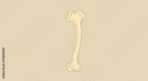 Stylized Femur Bone Illustration on Beige Background.