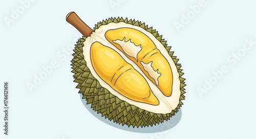 Exotic durian fruit, ripe yellow flesh, cut open with spikes, tropical cuisine